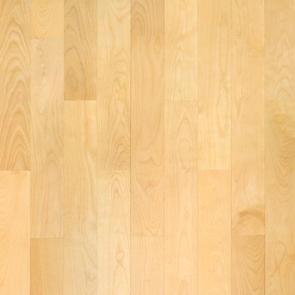 Birch 10x70x600.jpg