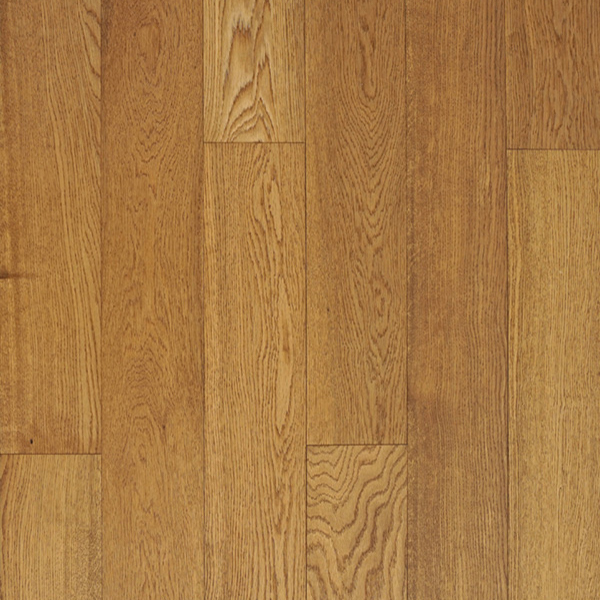 product-norma-sebra.jpg
