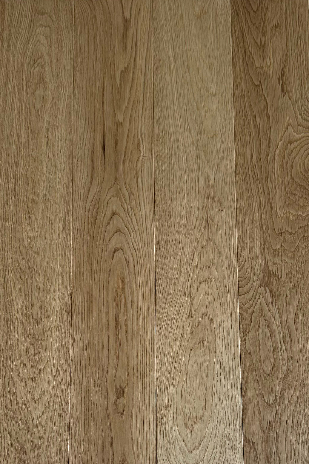 Oak Brush 10x125x810-2.jpg