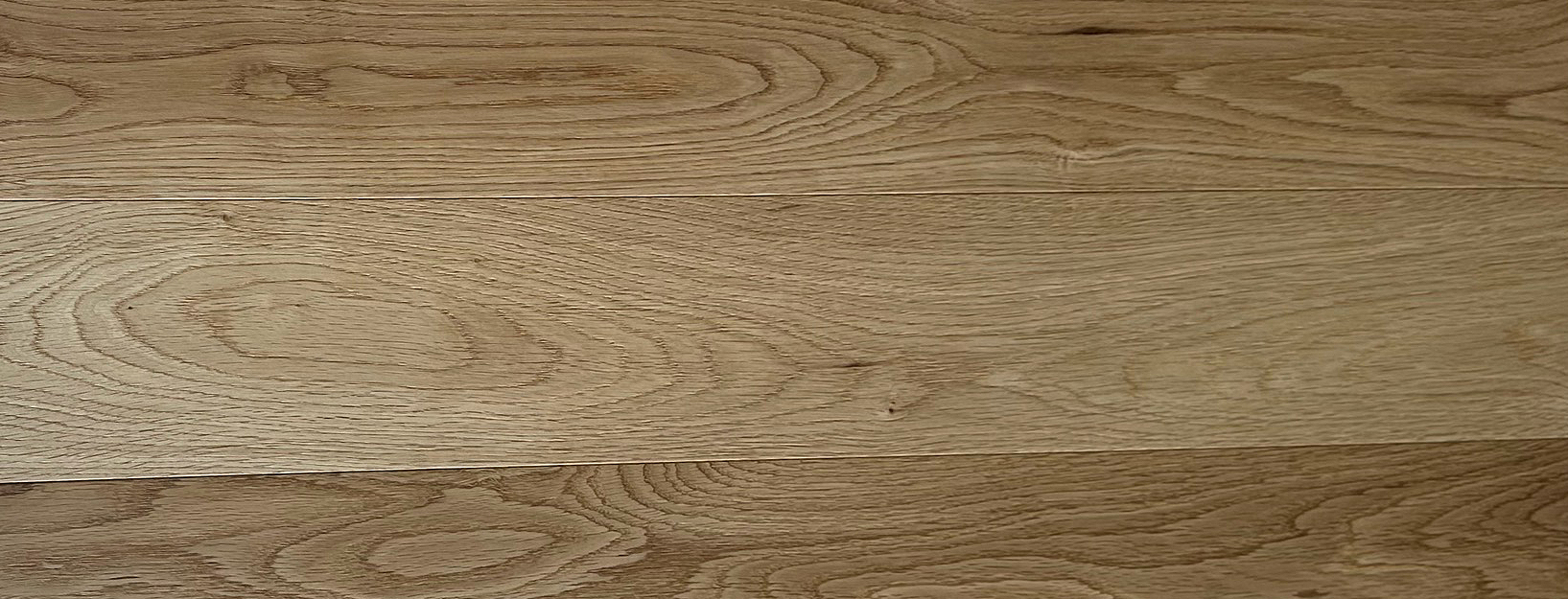 Oak Brush 10x125x810-3.jpg