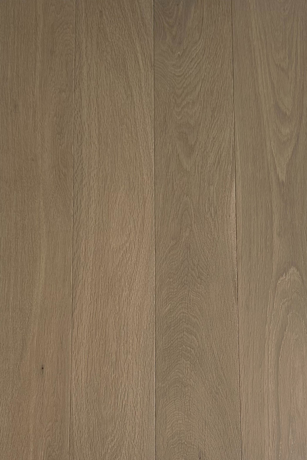 Dark Beige 10x125x810-2.jpg